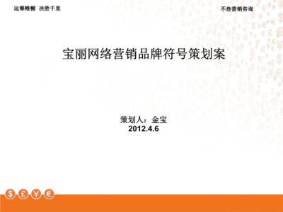 寶麗網(wǎng)絡(luò)營銷品牌符號策劃案